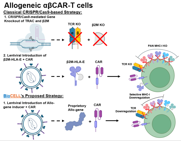Personalized Cell and Gene Therapy - BioCELL